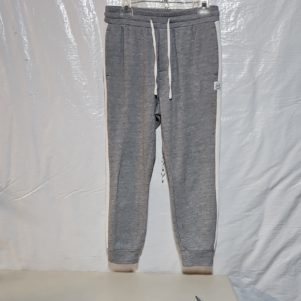 Express Gray Jogger Pants
